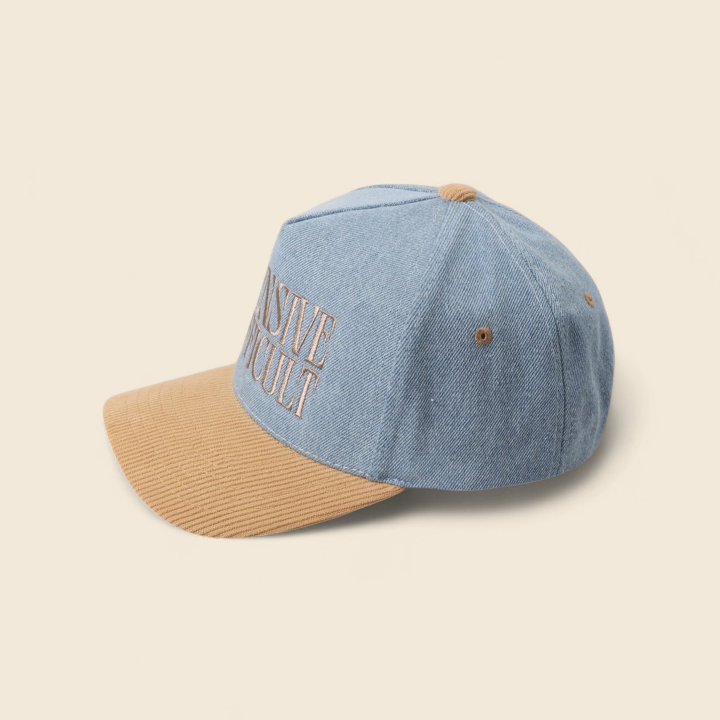 Expensive & Difficult Two Tone Embroidered Hat